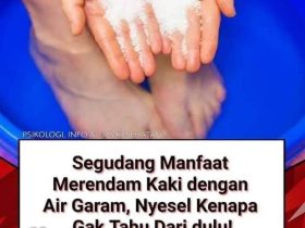 Garam Cina Adalah: Penjelasan, Fungsi, dan Fakta Lengkap